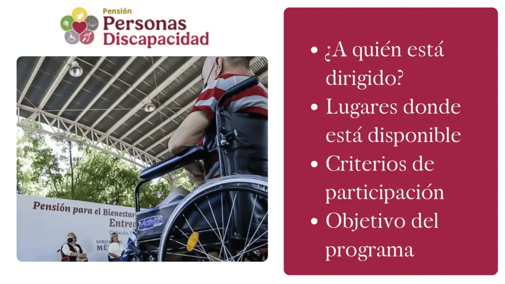 PENSION PERSONAS CON DISCAPACIDAD (2)